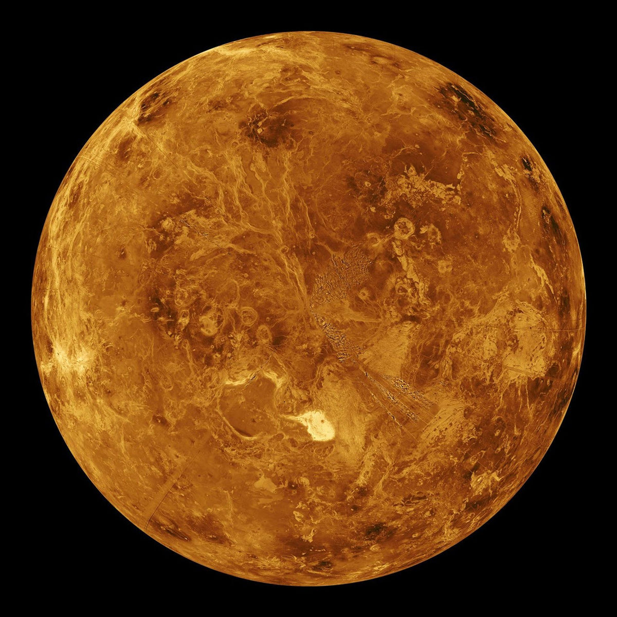 Venus Retrograde Offer